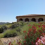 Villa Liliana, Exclusive