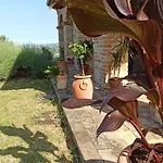 Liliana, Exclusive * Monte Rinaldo