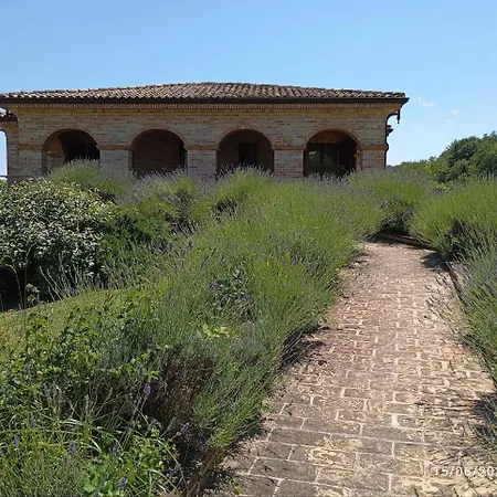 别墅 Liliana, Exclusive