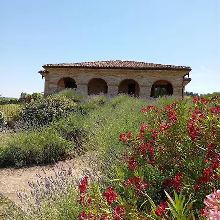 Liliana, Exclusive 别墅