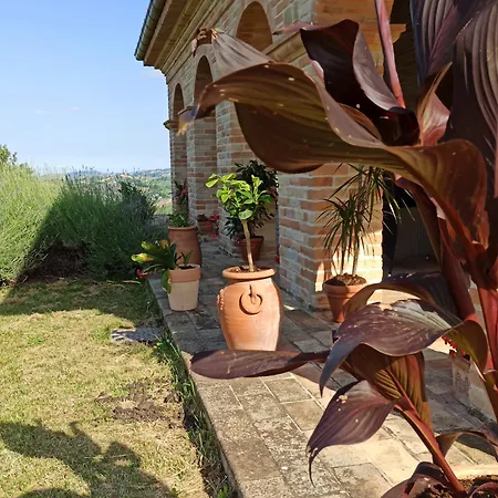 别墅 Liliana, Exclusive *