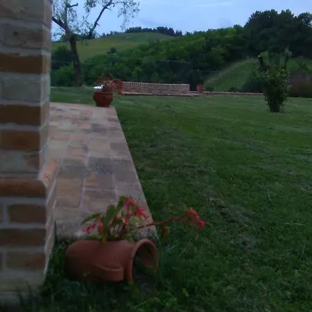 Liliana, Exclusive *