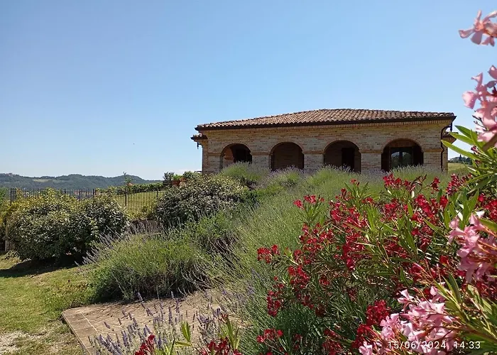 Villa Liliana, Exclusive