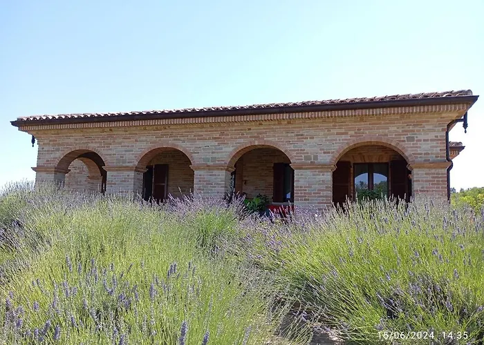 Villa Liliana, Exclusive Monte Rinaldo