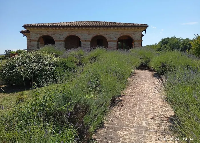 Villa Liliana, Exclusive