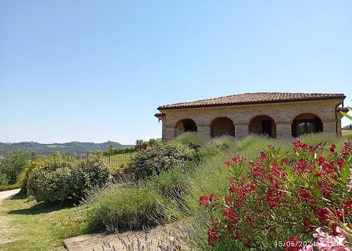 Liliana, Exclusive *