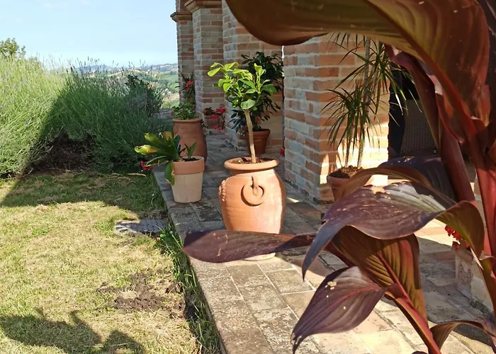 Liliana, Exclusive * Monte Rinaldo