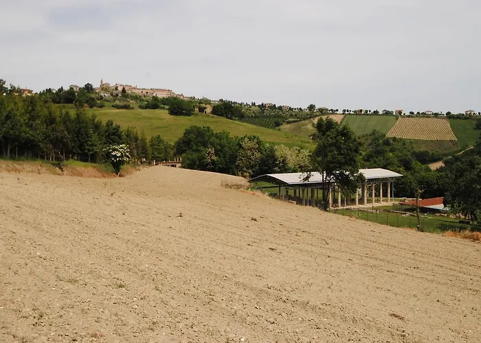 Villa Liliana, Exclusive *